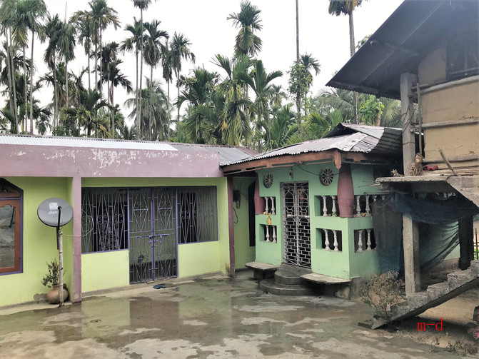 喜马拉雅另一边----噶伦堡,大吉岭,加济兰加到拉达克----印度纪行(1)