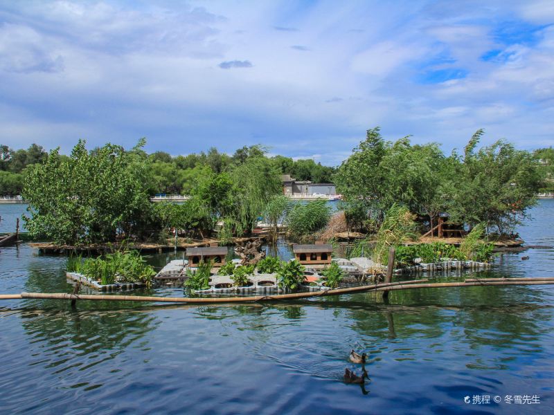 北京后海野鸭岛攻略-后海野鸭岛门票价格多少钱-团购票价预定优惠