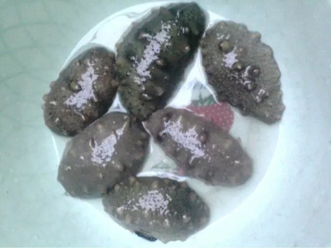 2018日照温馨之旅 2019日照等着我