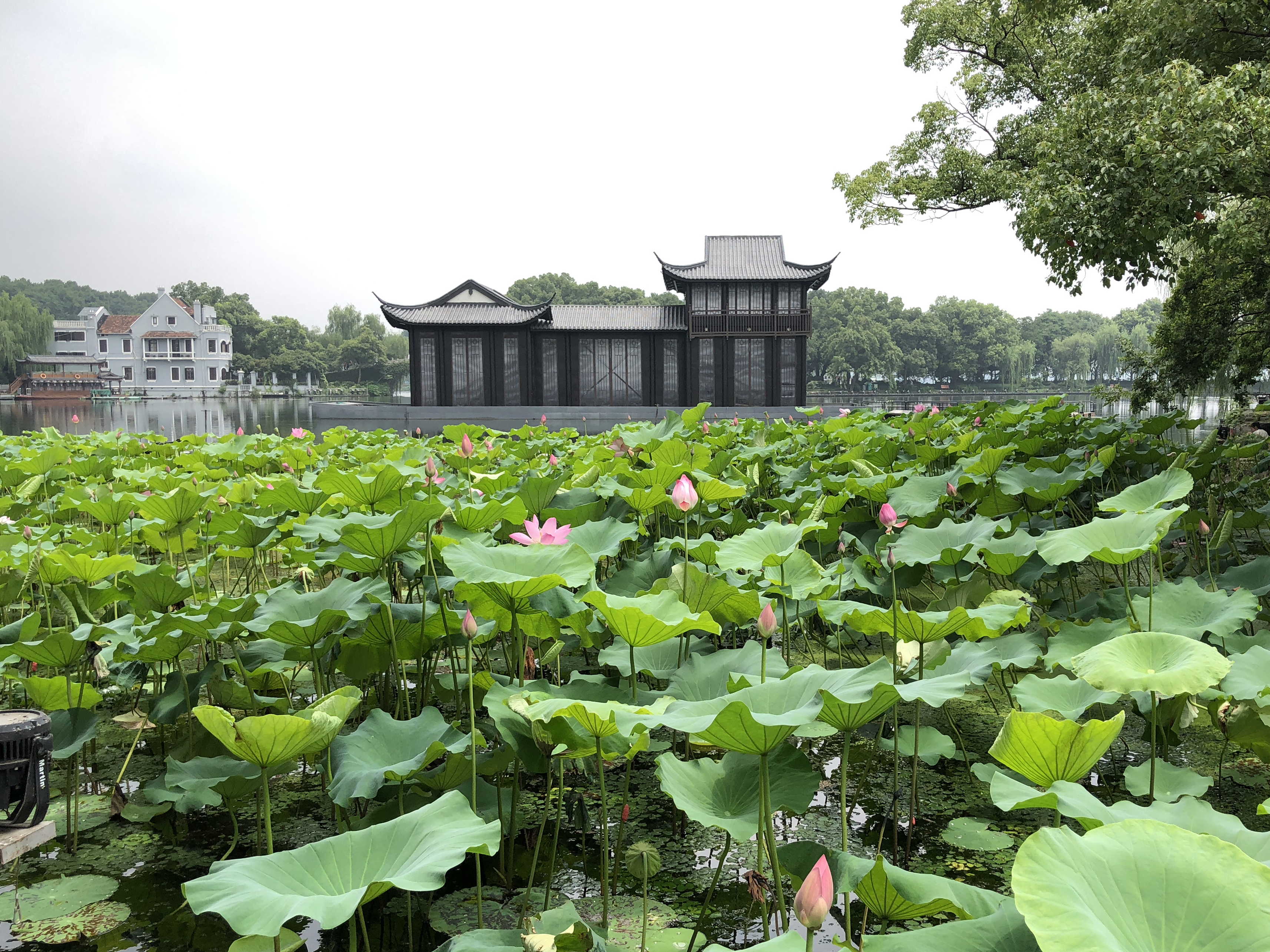 有嶽湖,竹素園,名石苑,風荷景區,福井園