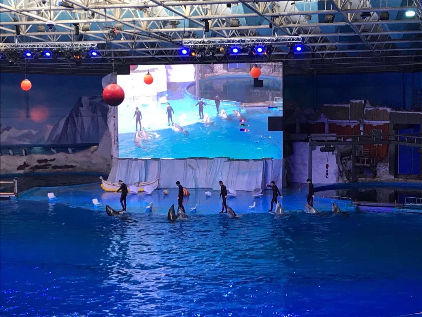 2023哈尔滨极地公园·海洋馆游玩攻略,11点观看海狮表演，因为表演...【去哪儿攻略】