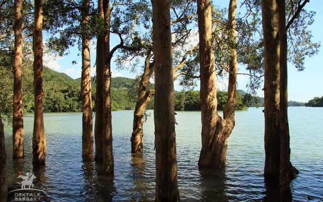 香港秘境 水浸百千层 城门水塘与猴相伴 荃湾轻松行山乐 香港游记攻略 携程攻略