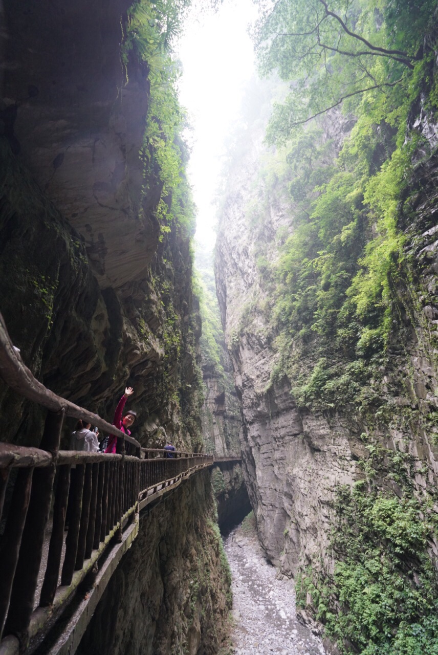 陵城区