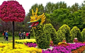 2-Day Tengzhou Tour: Historical Depth and Natural Freshness
