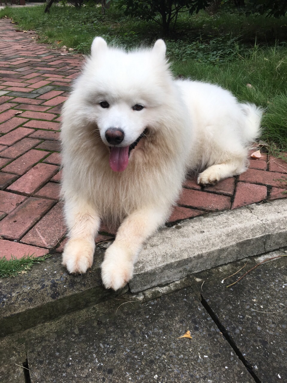 2019mee sapam_旅游攻略_门票_地址_游记点评,普吉岛旅游景点推荐