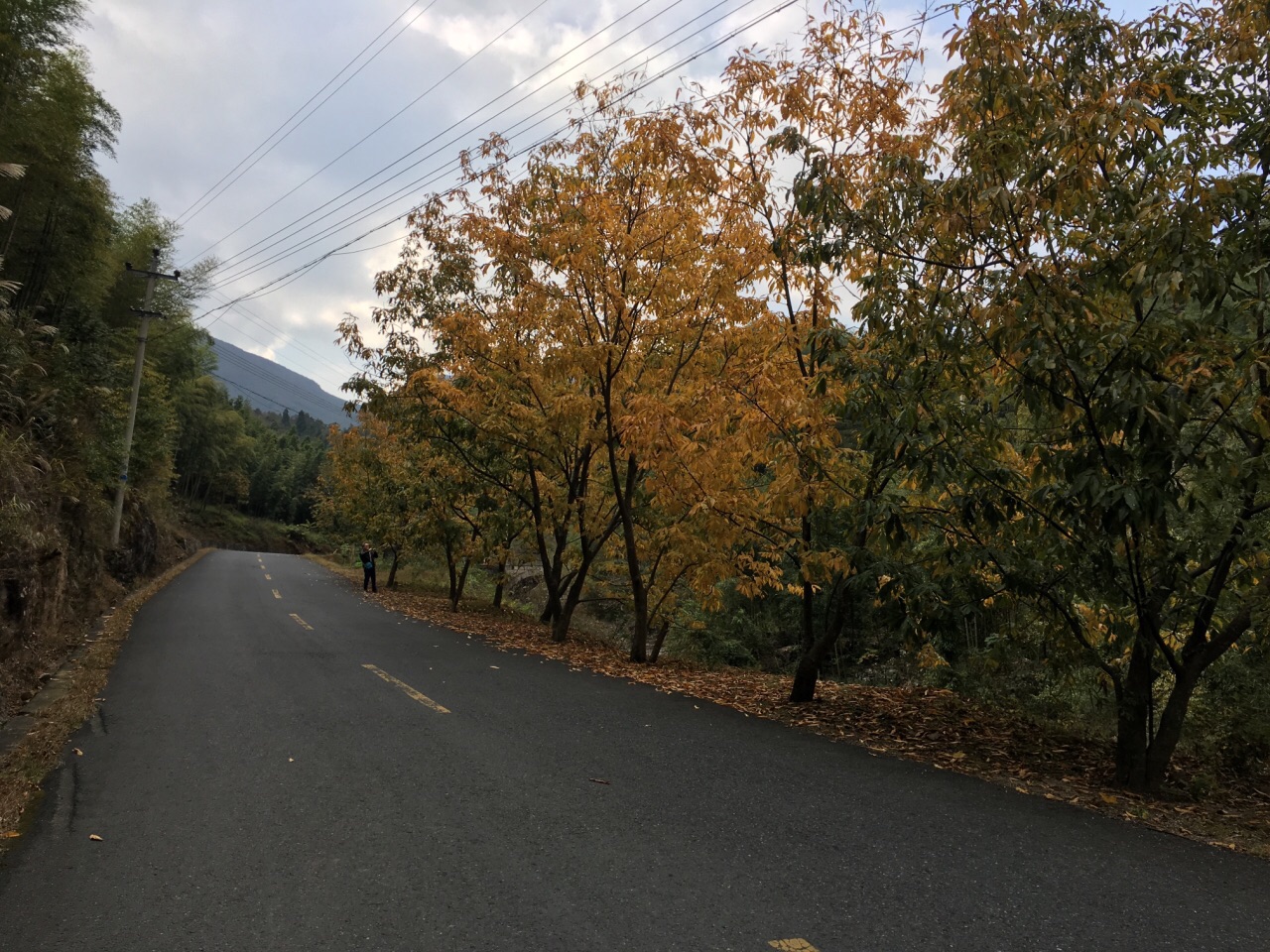 天目山冰川大峽谷開車去有沒有很高的盤山公路?