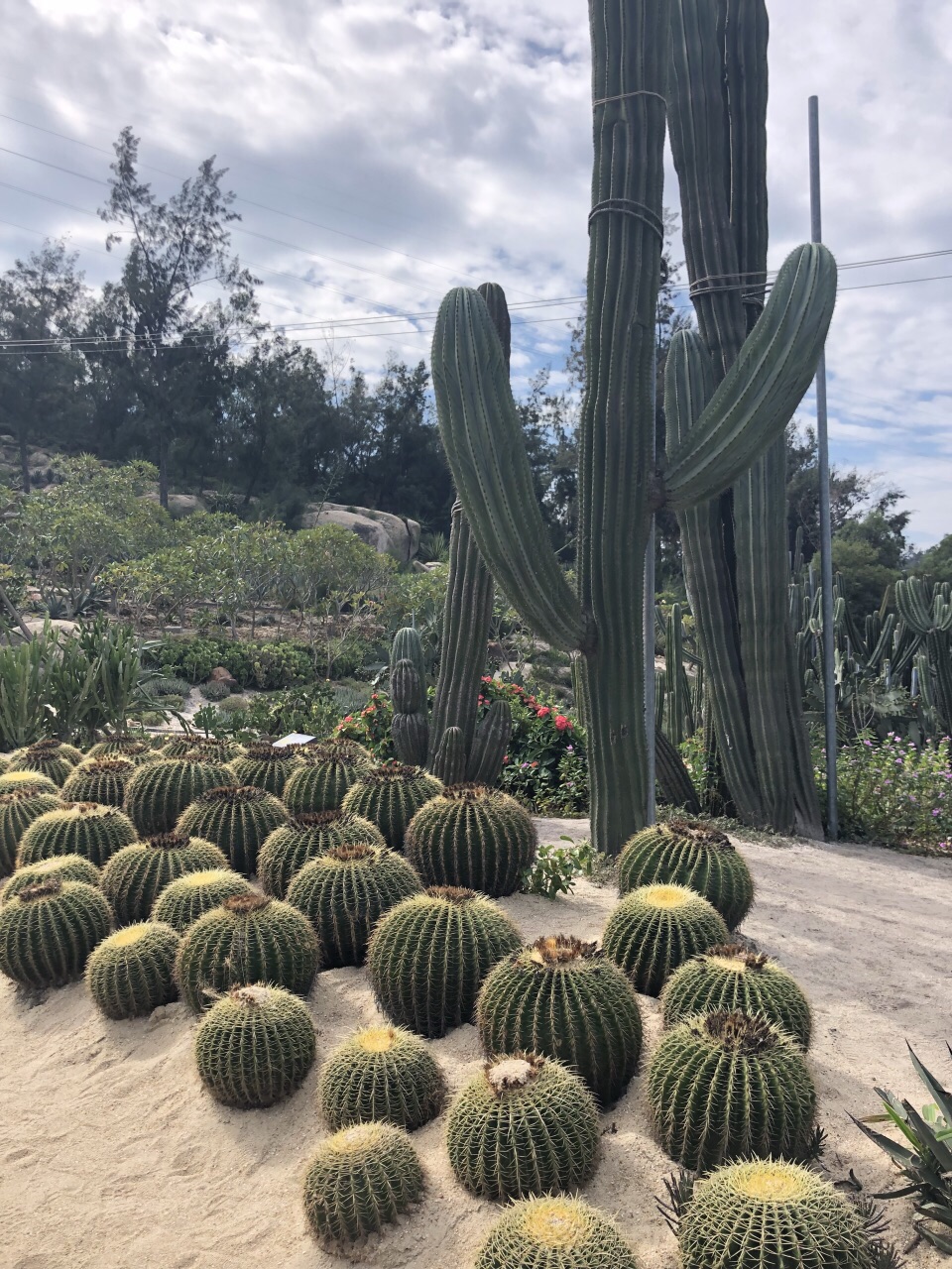 廈門園林植物園旅遊景點攻略圖