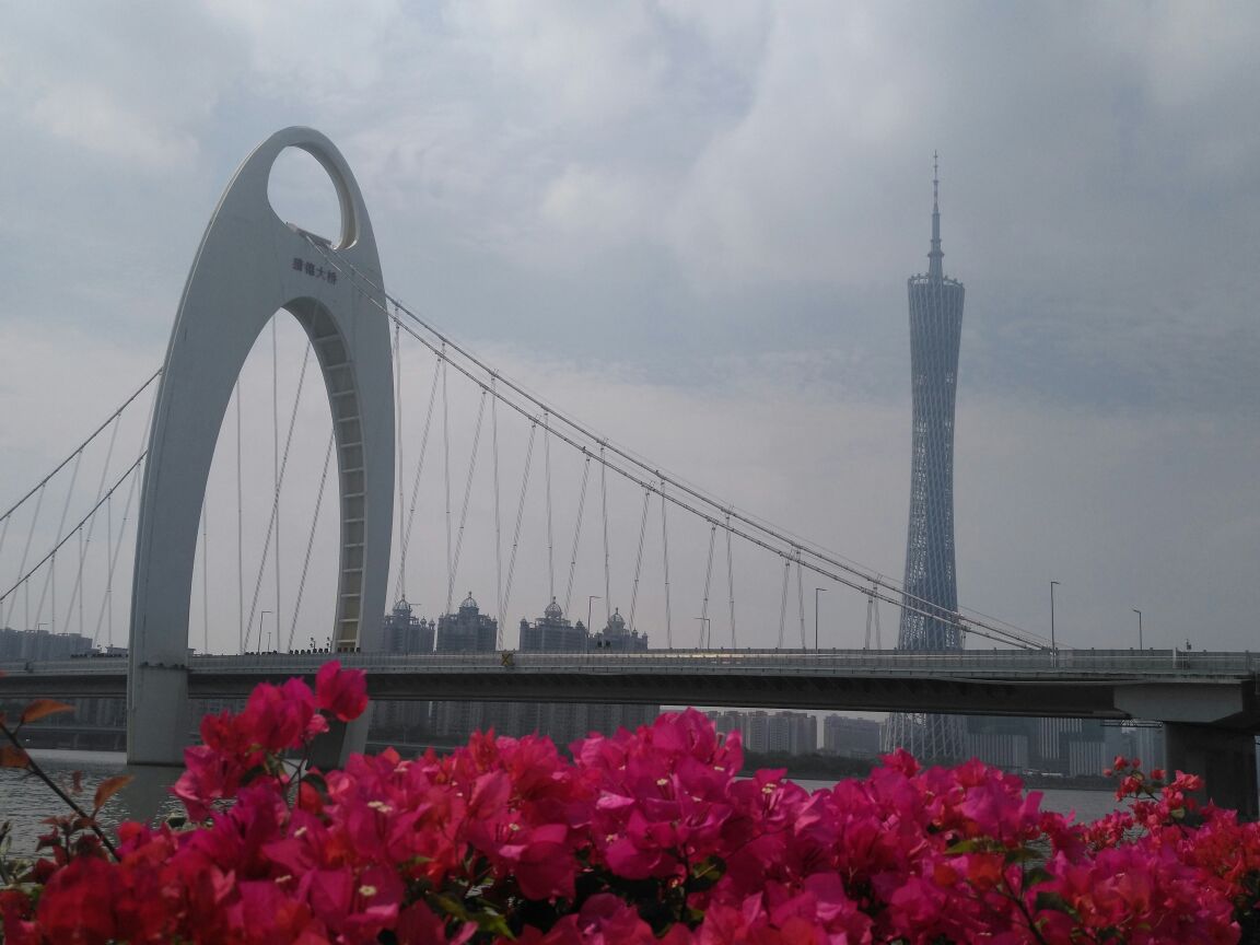2019海心沙-旅游攻略-门票-地址-问答-游记点评，广州旅游旅游景点推荐-去哪儿攻略