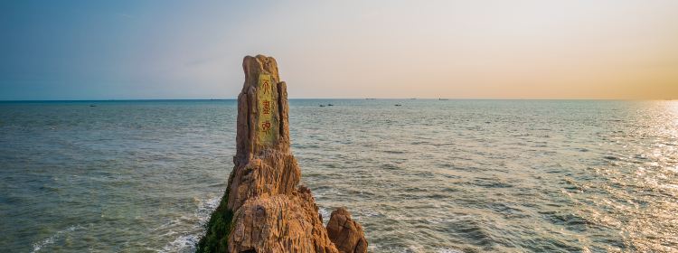 305083318