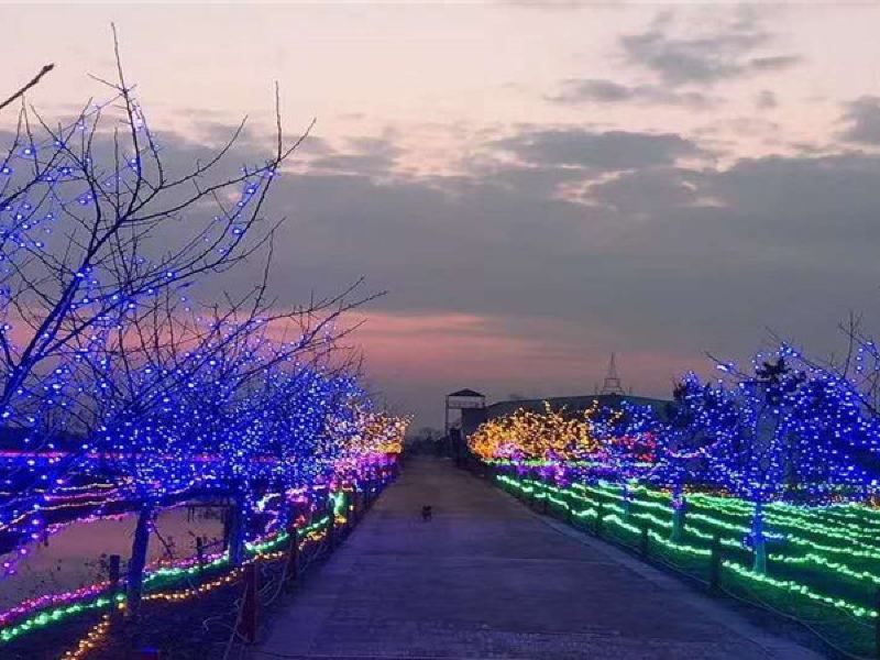 陶辛恋花湾