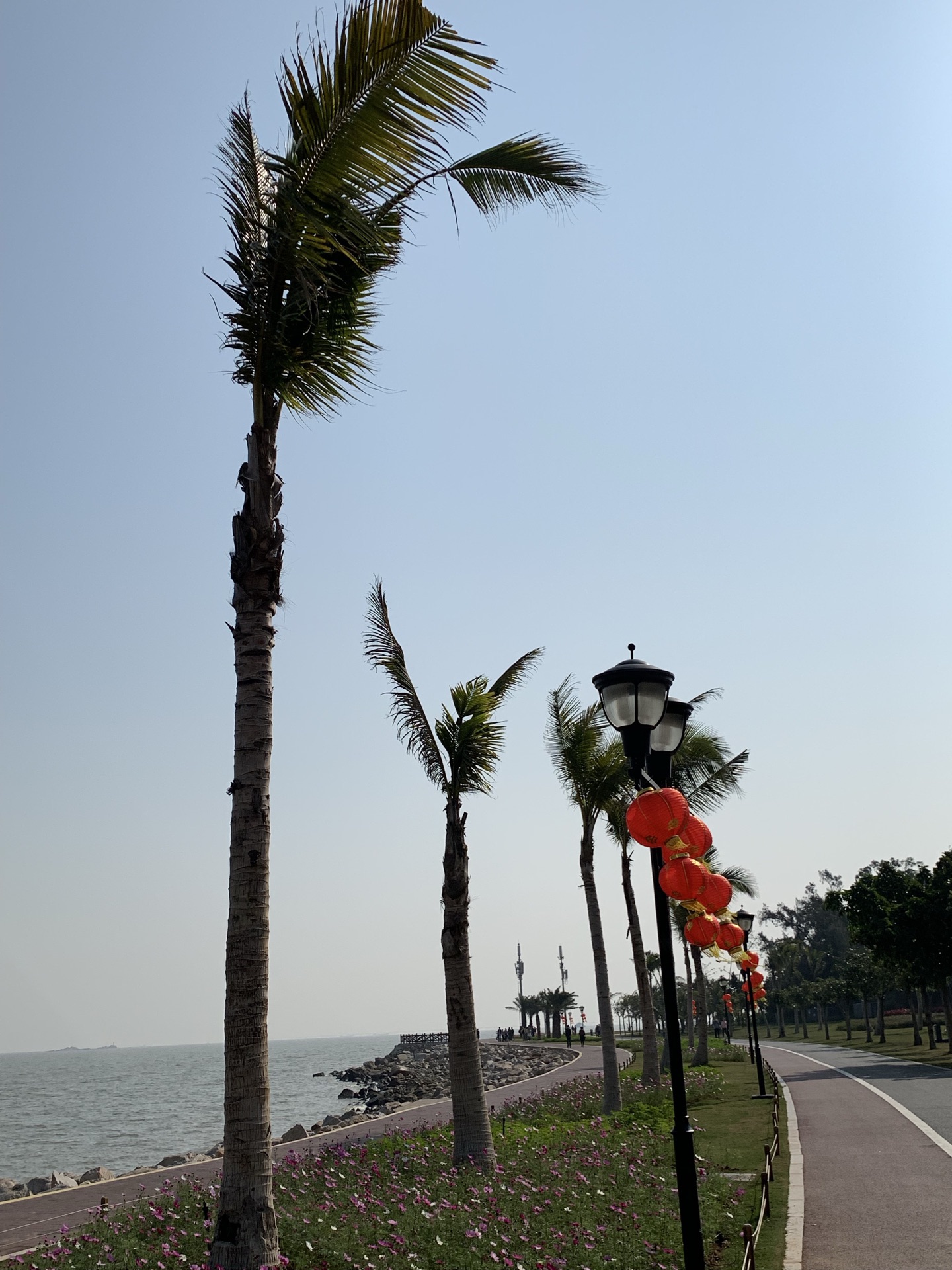 野狸岛旅游景点攻略图