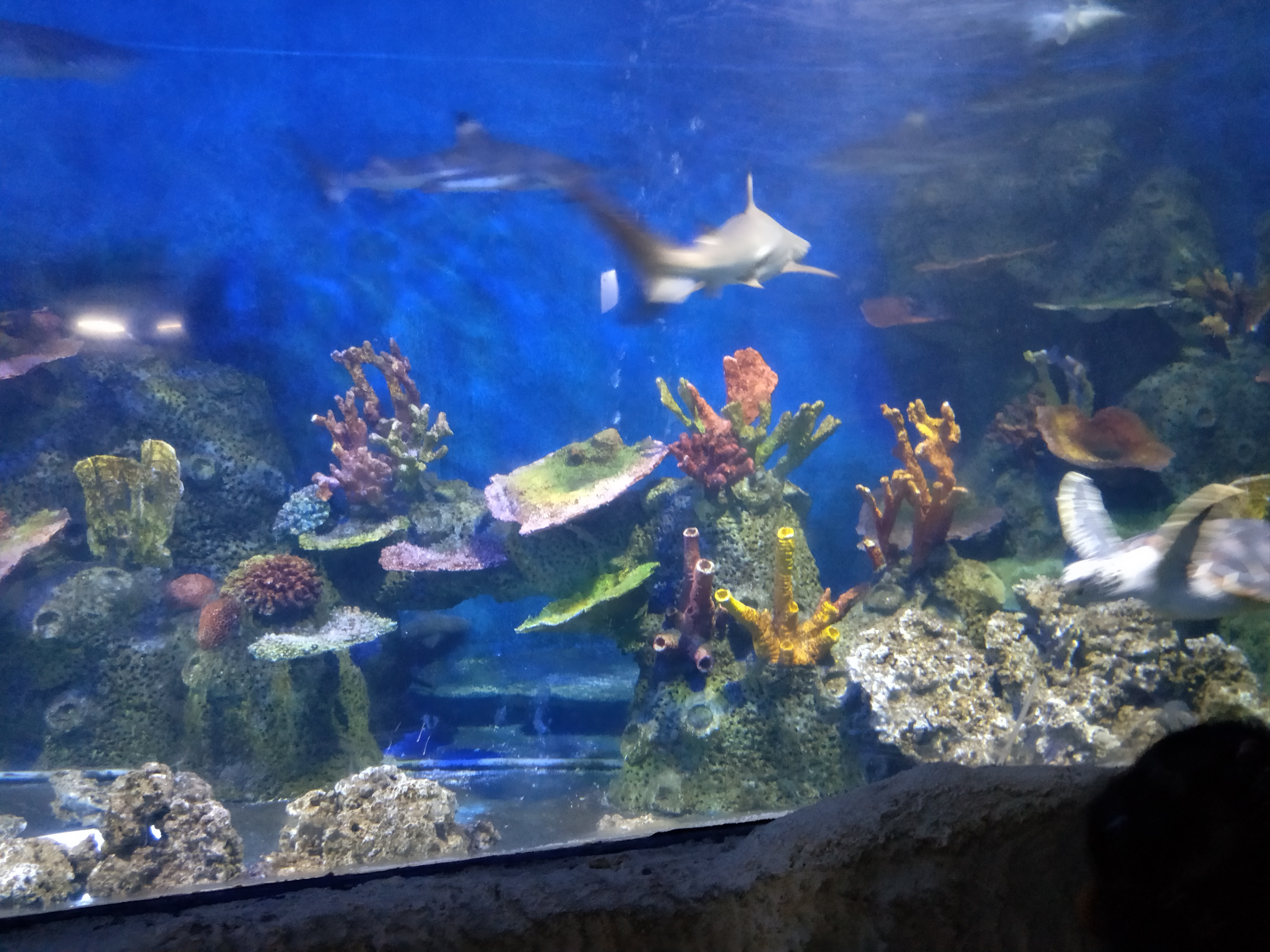 泉州海丝野生动物世界