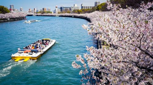 22大阪乘船遊覽景點推薦 5大熱門景點 Trip Com