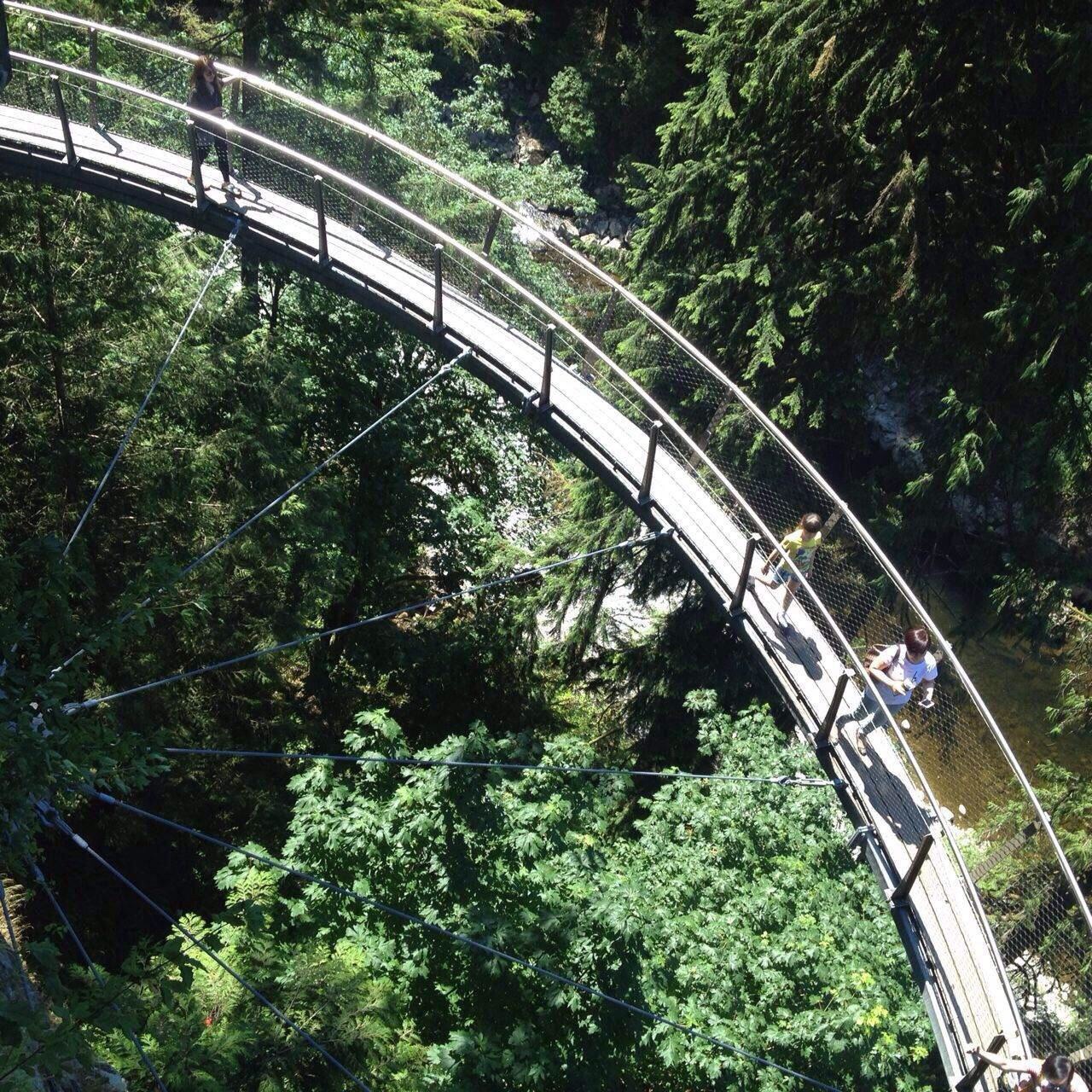2022香榧森林公园游玩攻略,香榧森林公园吊桥景色优美，... 【去哪儿攻略】