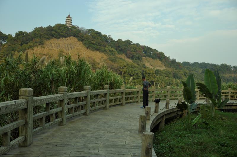 漳平榉子洲公园图片