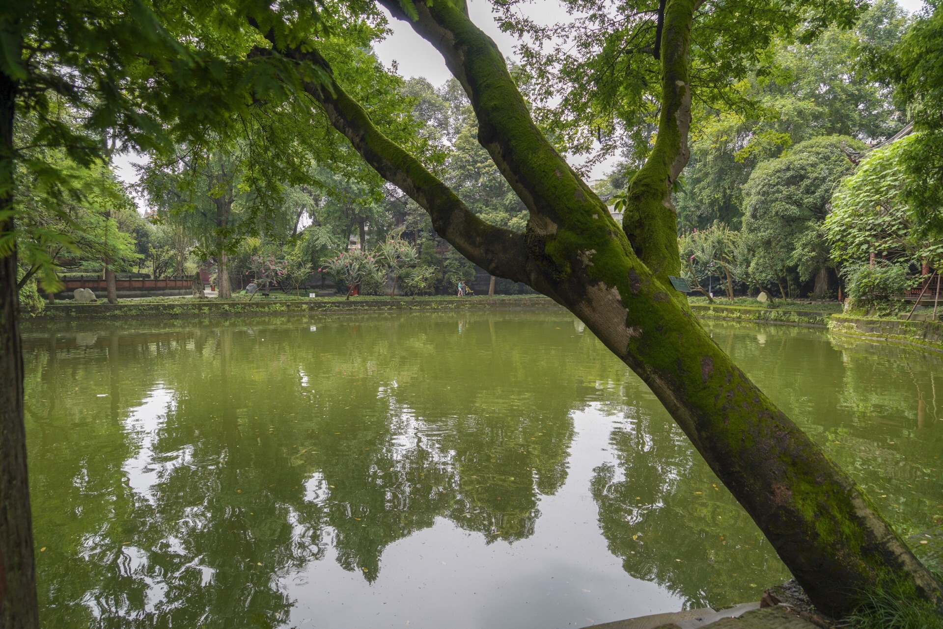 【携程攻略】崇州罨画池景点,门票8元/人，该园位于崇州市城区，面积不大，但很有一些历史了，罨画…