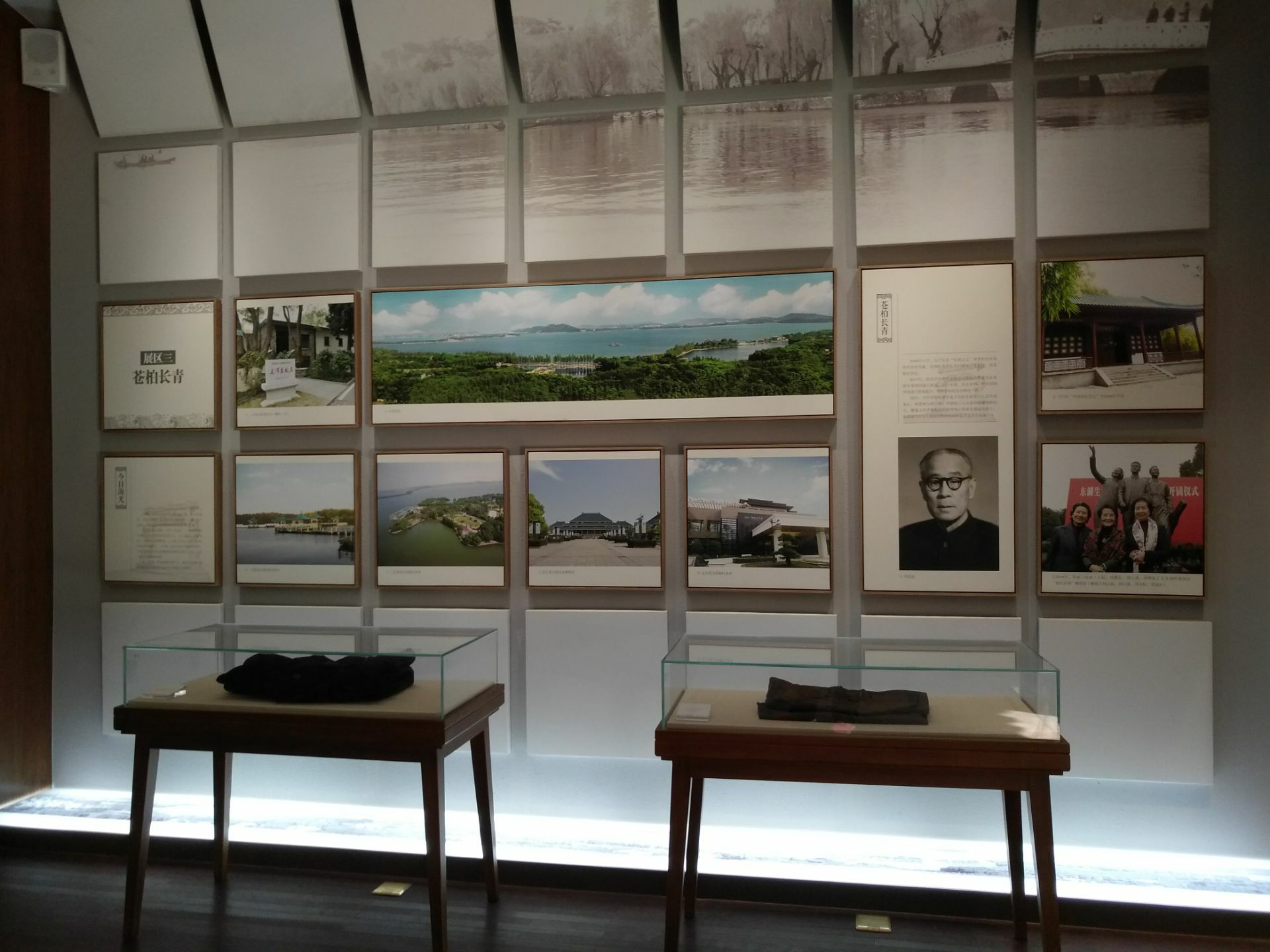 来到周苍柏今年是完全是一个意外,等游览到这附近时