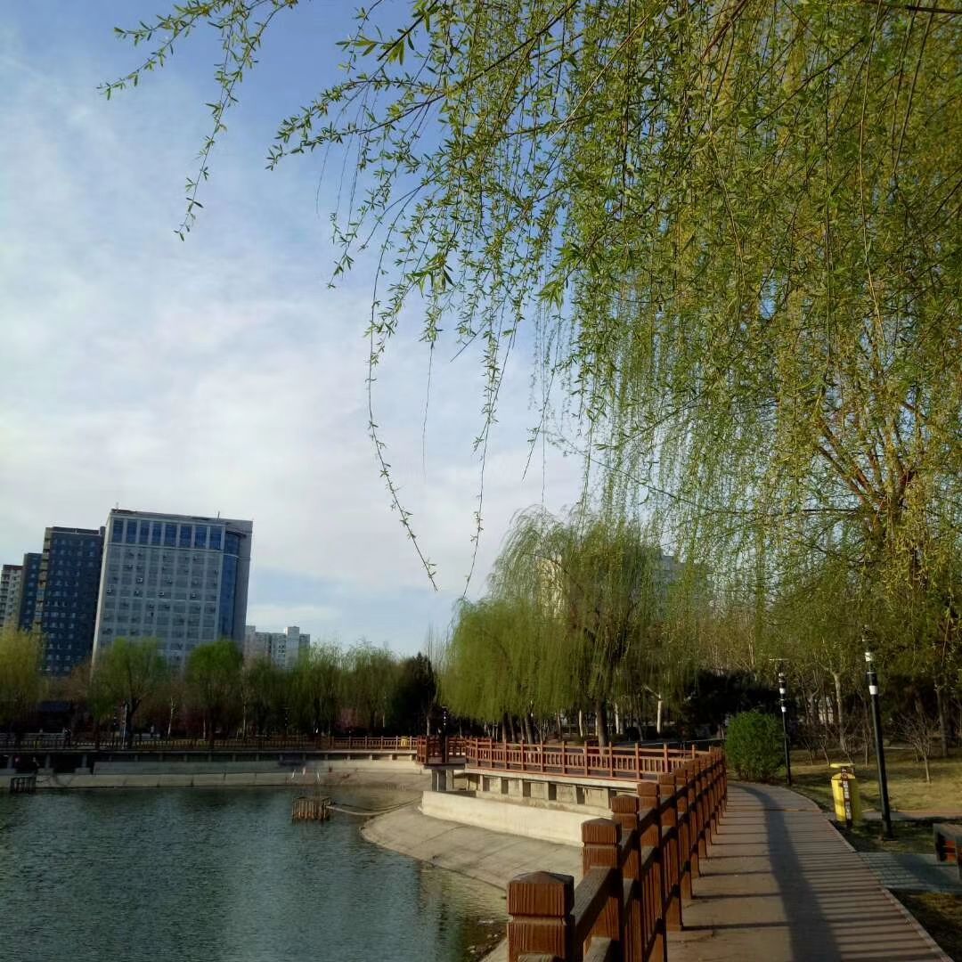 2021玛雅水公园玩乐攻略,玛雅水公园是深圳市内唯一的...【去哪儿攻略】
