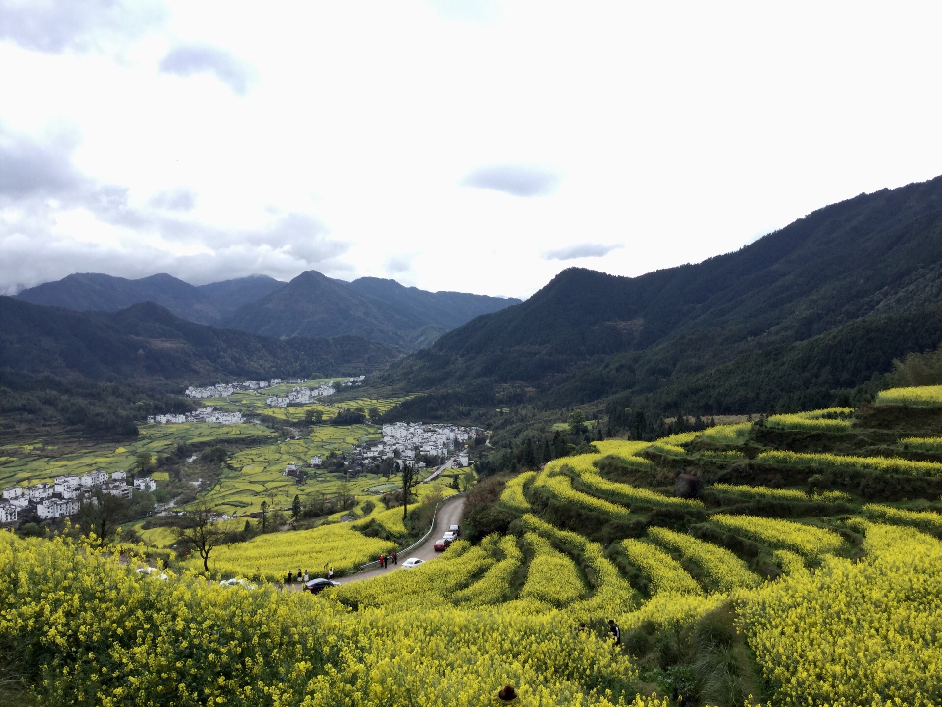 江西婺源的江嶺風景區值得去的地方……尤其是在油菜花盛開季節,根據