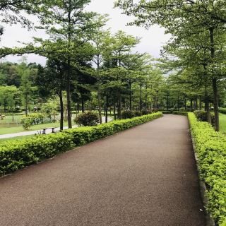 江门潮连公园攻略-潮连公园门票价格多少钱-团购票价预定优惠-景点