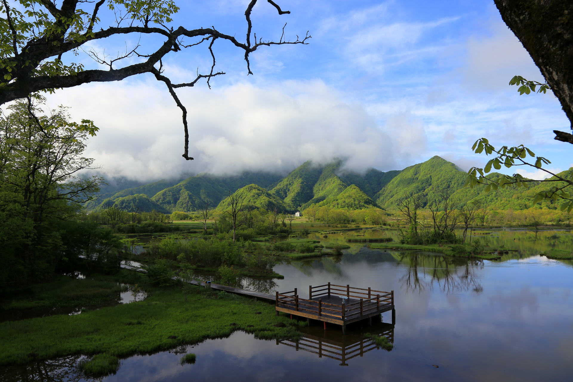【九里河湿地公园摄影图片】无锡查桥生态摄影_太平洋电脑网摄影部落