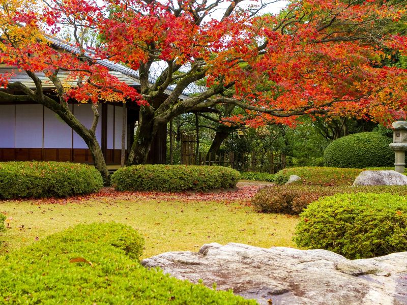 福冈松风园攻略-松风园门票价格多少钱-团购票价预定优惠-景点地址