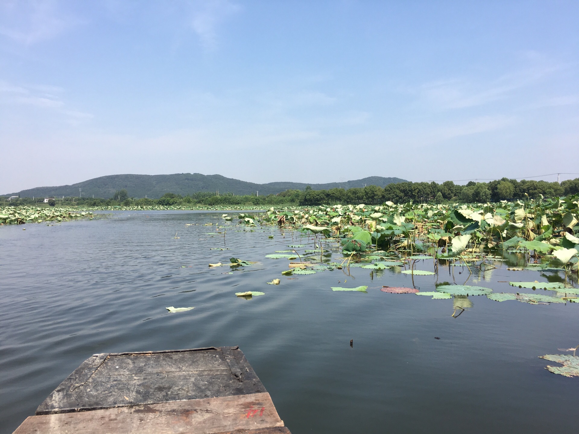 蔡甸金龙水寨景区图片