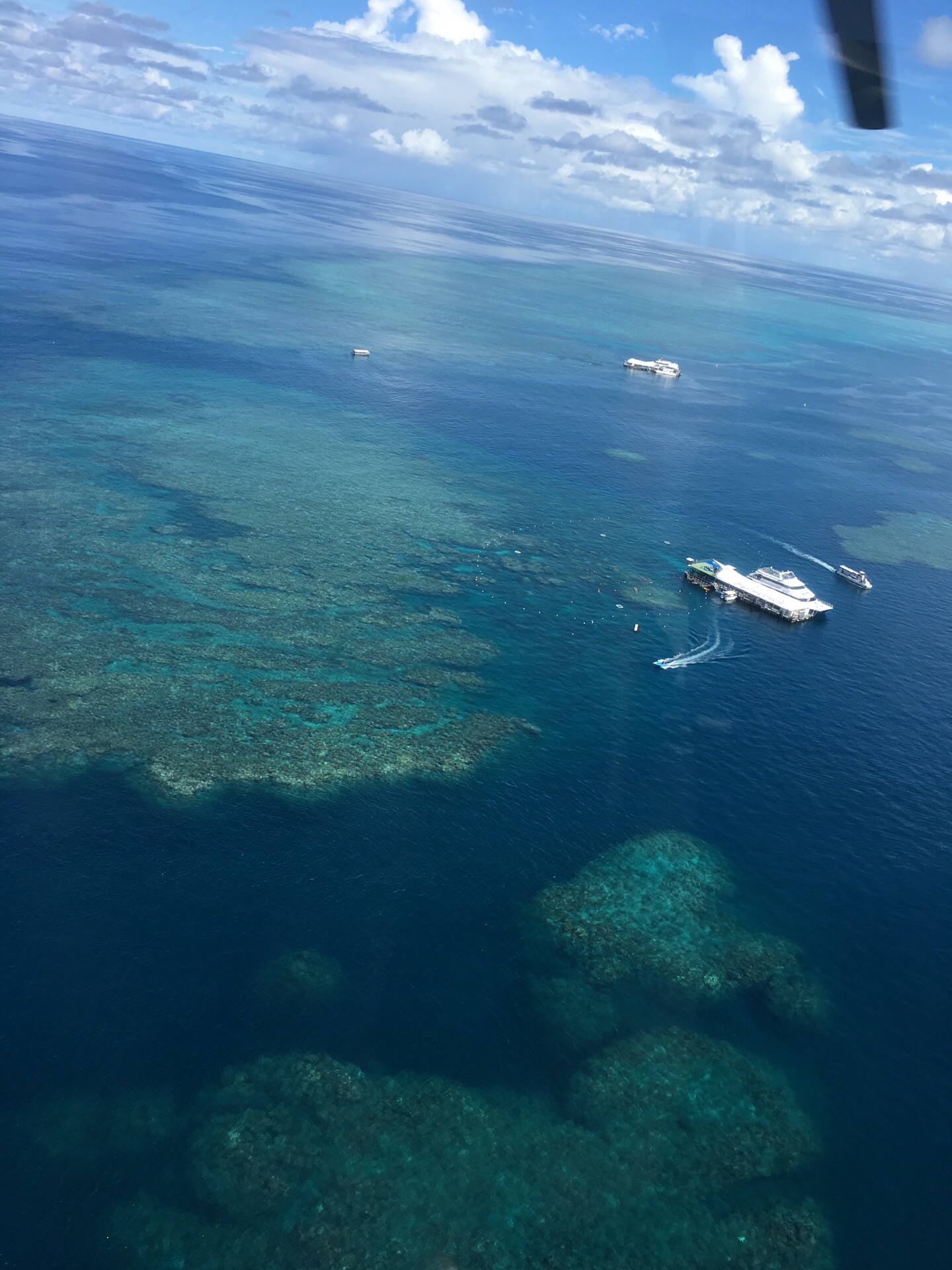 2016大堡礁_旅游攻略_门票_地址_游记点评,凯恩斯旅游景点推荐 - 去