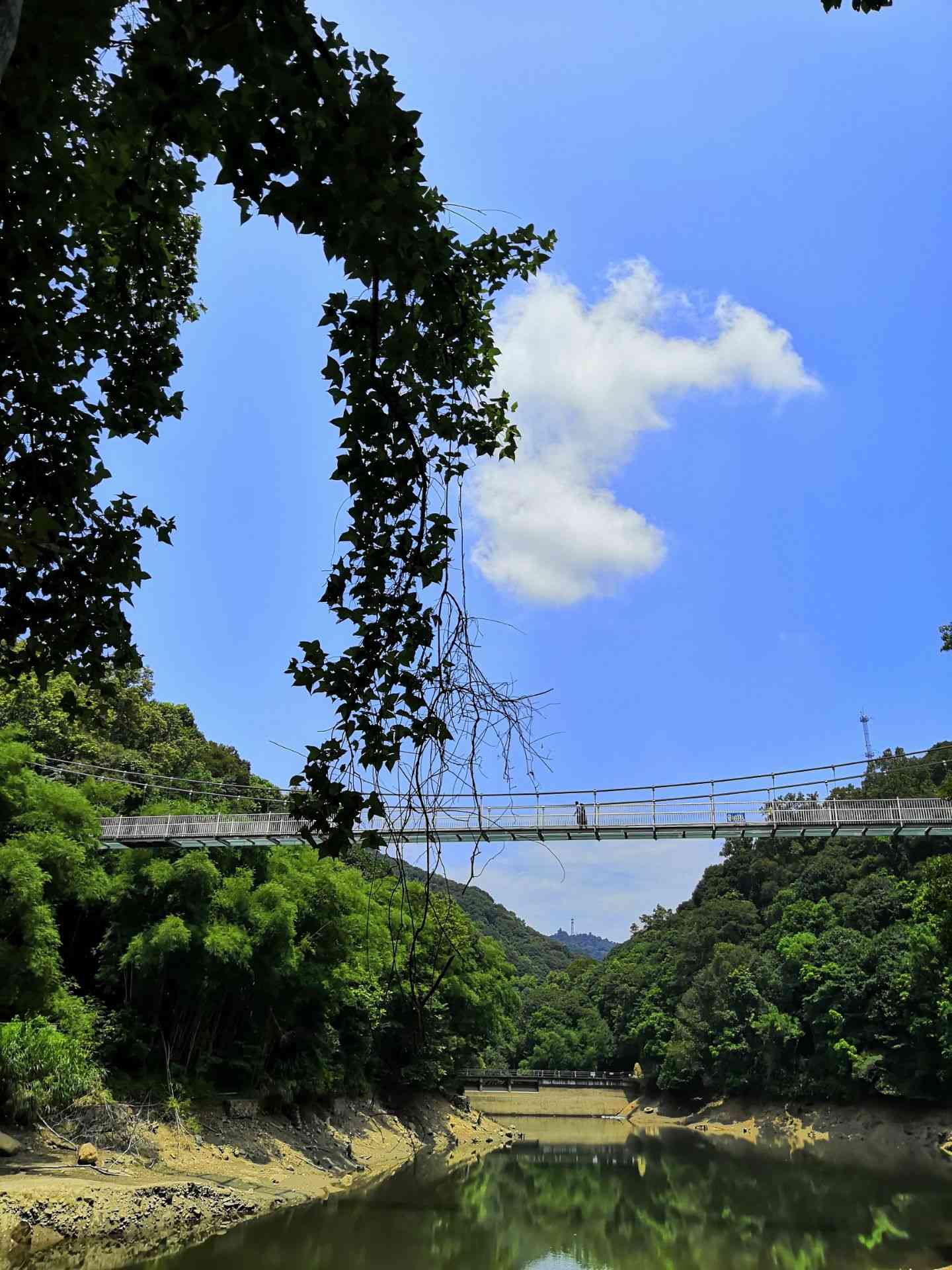 新丰江国家森林公园桂山风景区