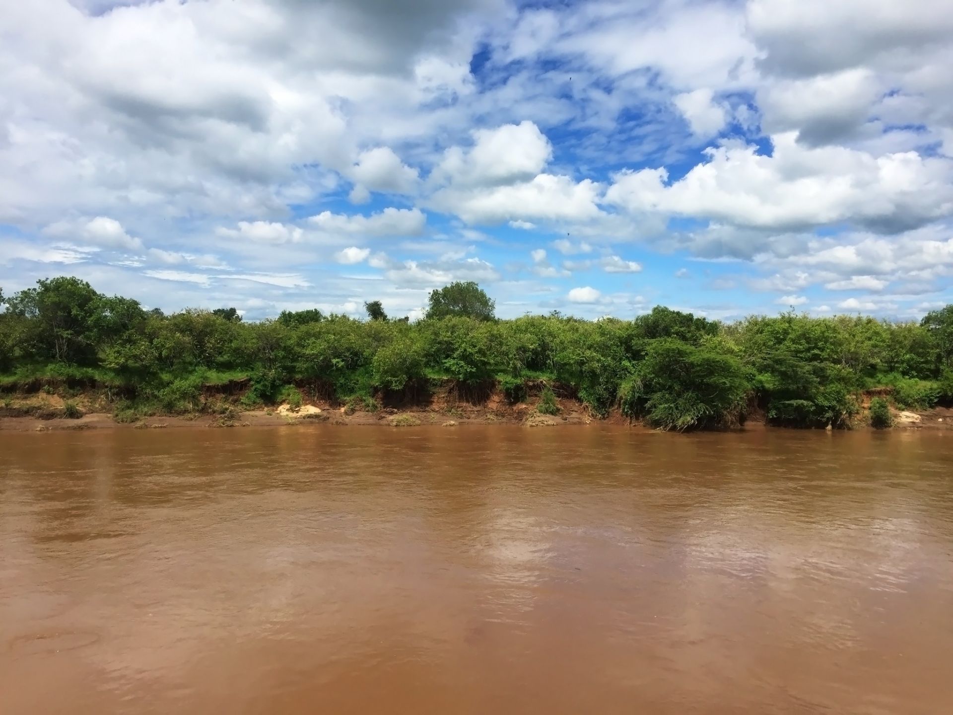 马拉河是马赛马拉国家公园中的生命之河,在这里你可以欣赏到许多史诗
