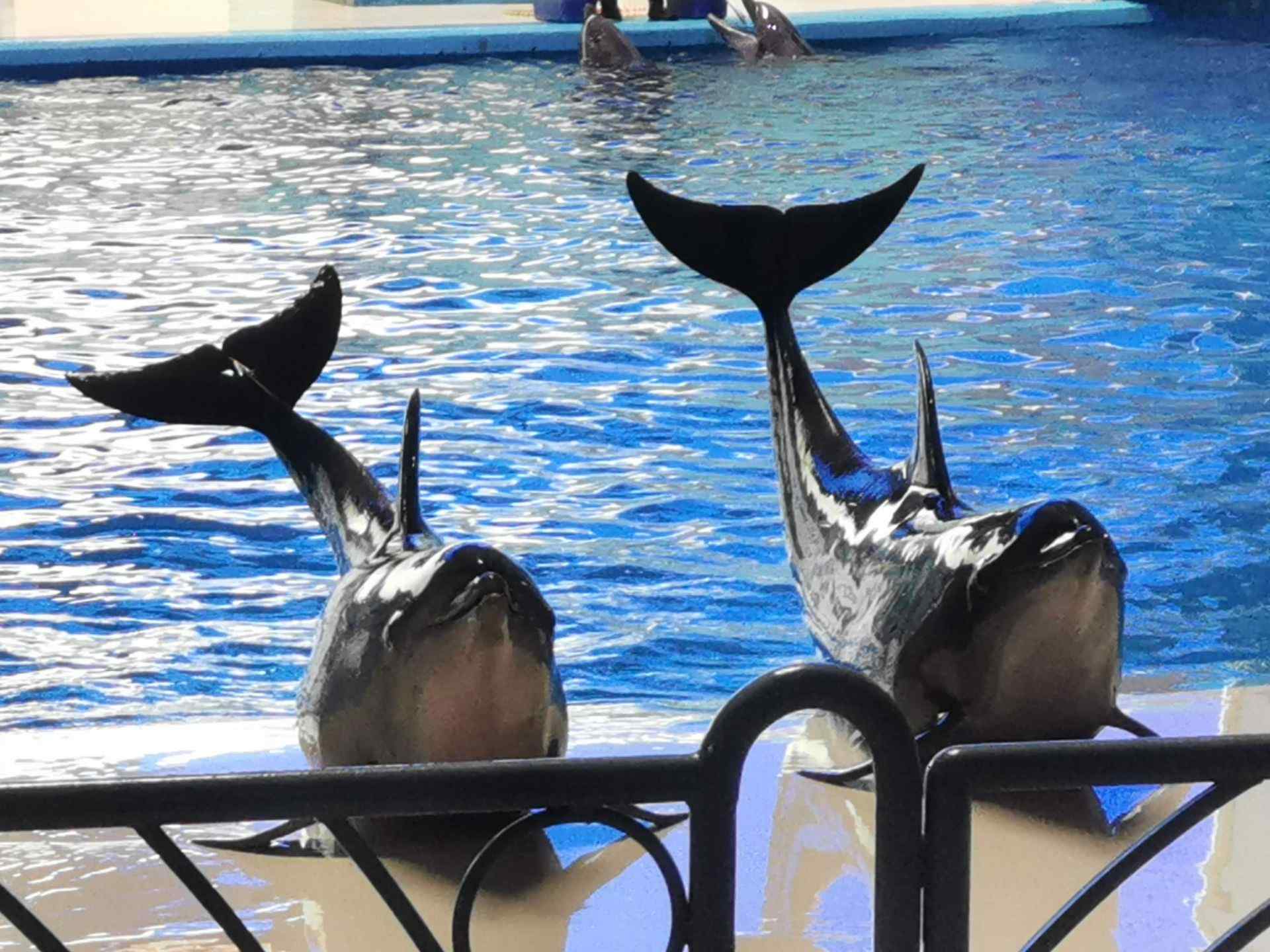 永泰欧乐堡海洋世界