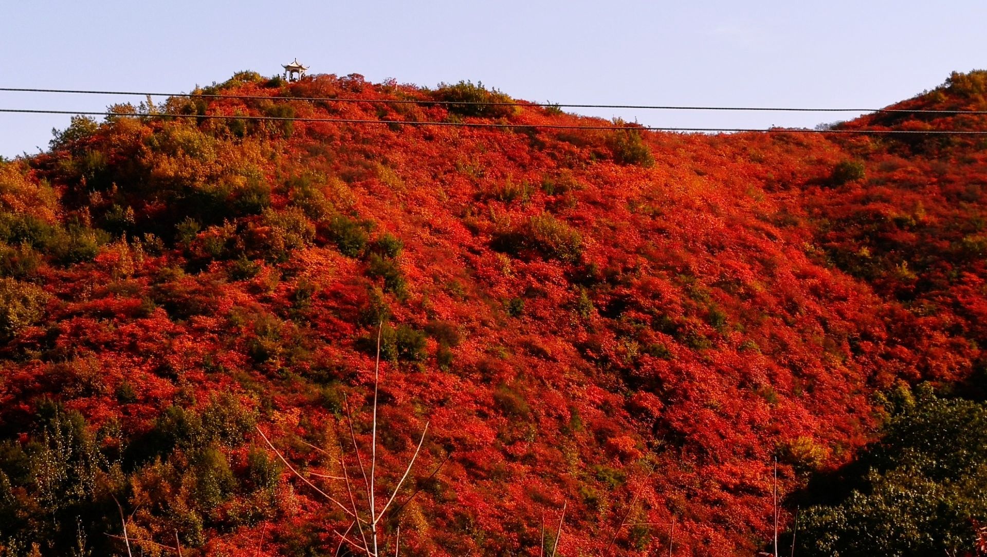 怎么说呢,长寿山的红叶还不错,但是在河南一定是个最坑的景区,从游客
