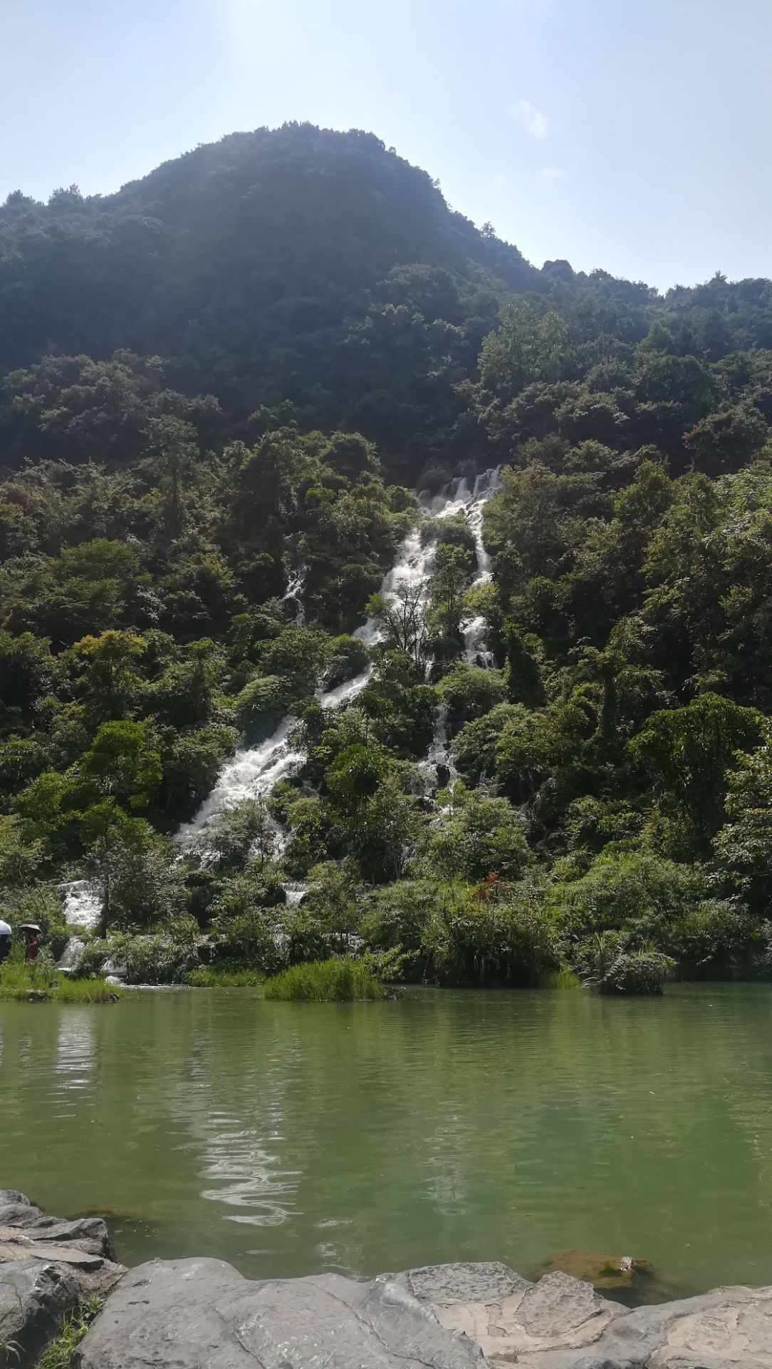 【携程攻略】黔南水上森林景点,水上森林这里的千百株树木,包括珍奇