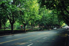 [巴黎游记图片] 歪？老板吗？下班不要找我，我在酒馆喝酒