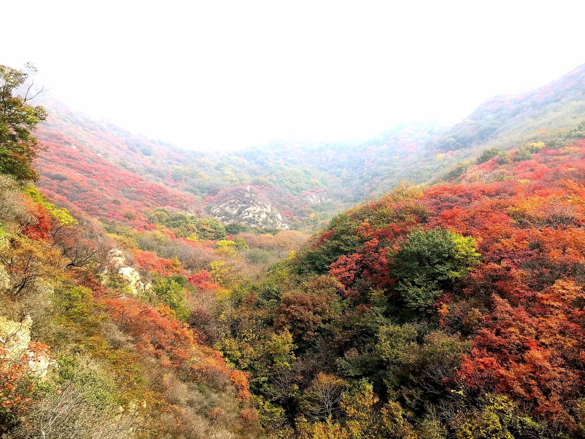 【携程攻略】禹州大鸿寨风景区景点,秋天的大鸿寨有着漫山遍野的红叶，吸引着四面八方游客们的到来。