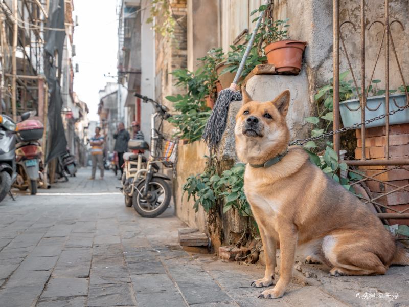 北海沙脊街攻略-沙脊街门票价格多少钱-团购票价预定