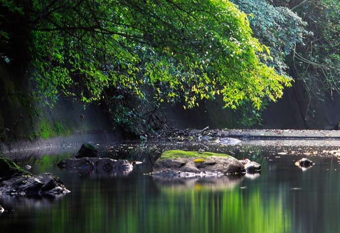 基隆友蚋溪谷攻略-友蚋溪谷门票价格多少钱-团购票价预定优惠-景点