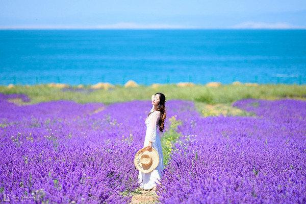 大西北丨夏天最美的青海甘肃大环线，一次看尽万般风景-海西游记攻略