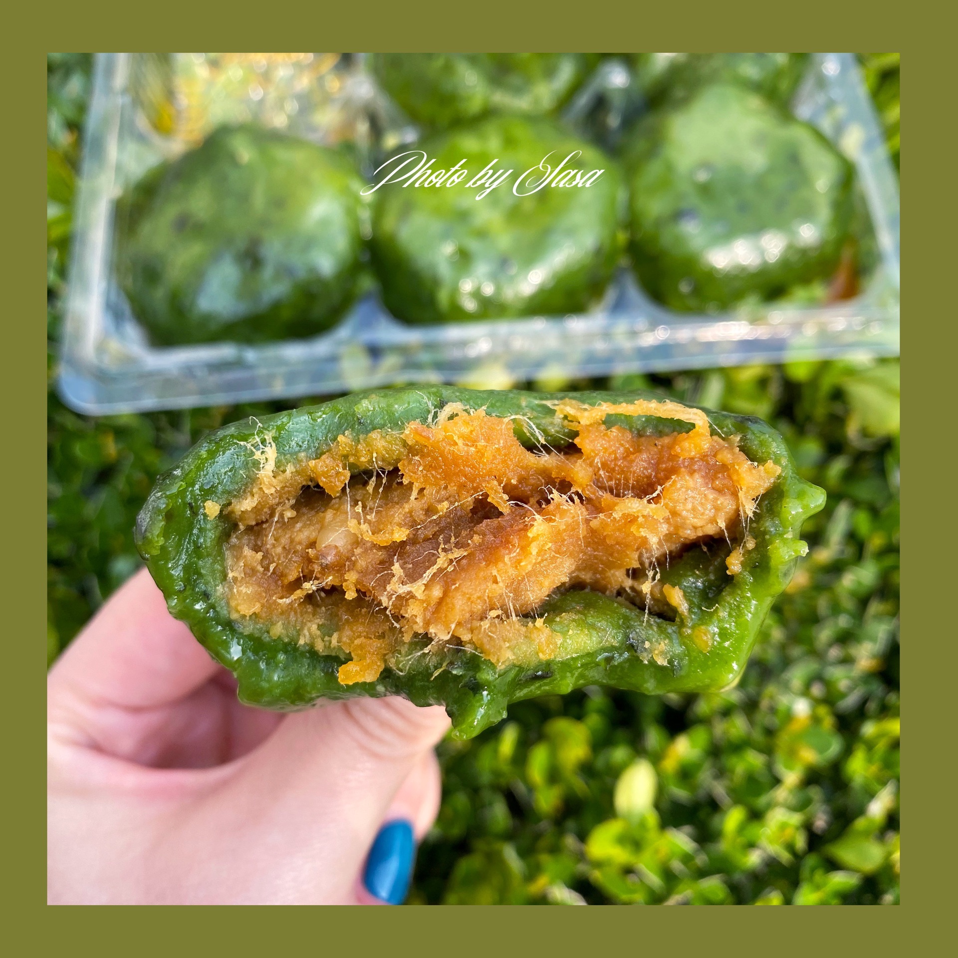 一年一次的青团节又来啦
每年就期待王家沙家的咸蛋黄肉松青团&