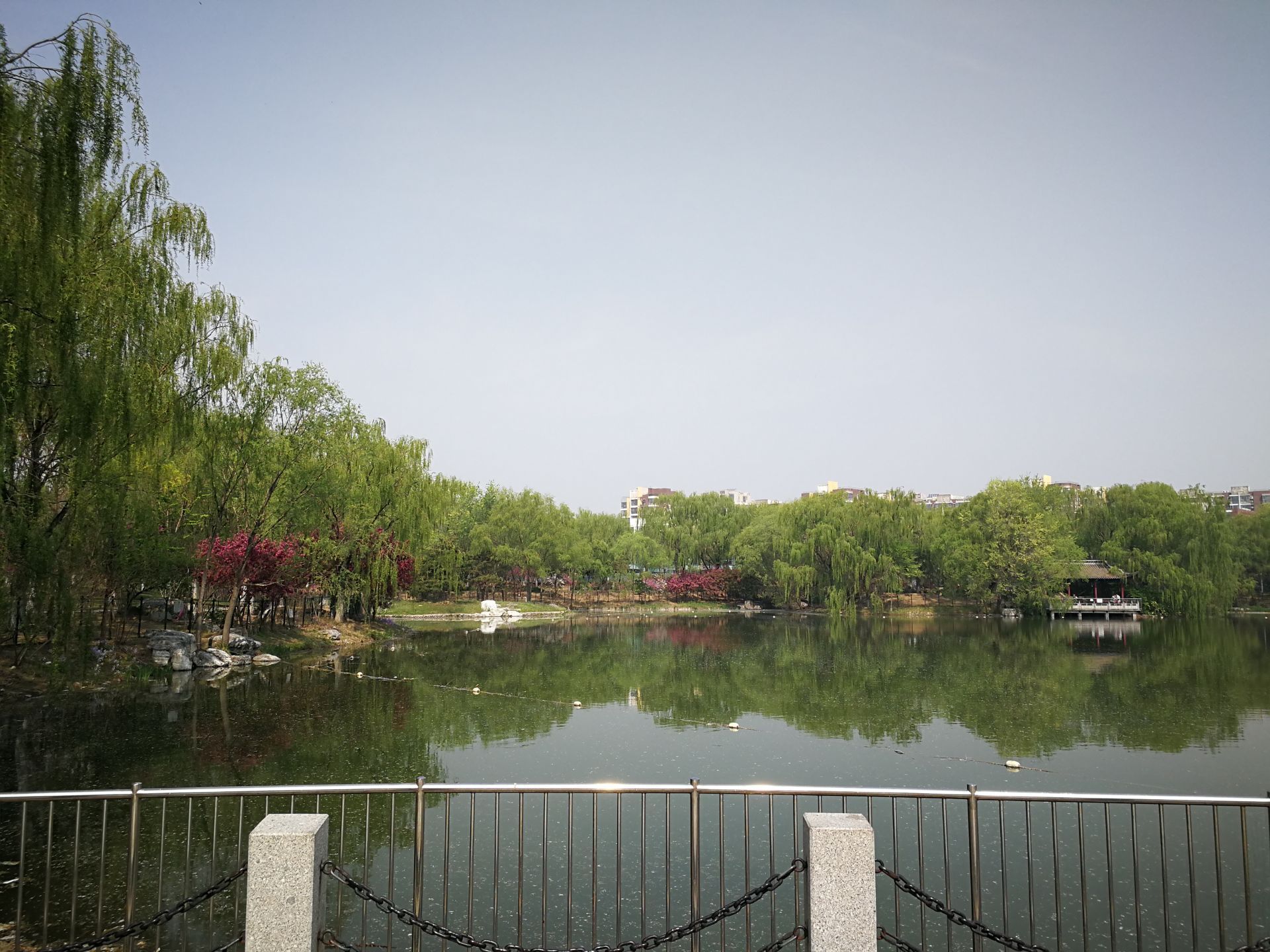 旺兴湖郊野公园北区图片