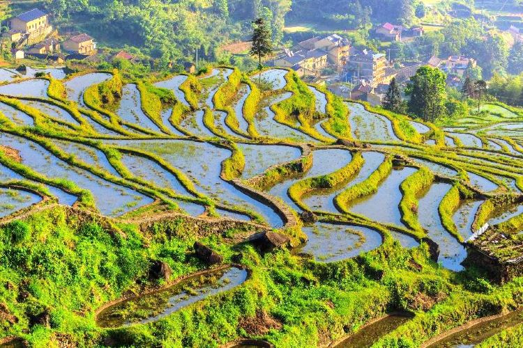 Yunhe Rice Terraces travel guidebook –must visit attractions in Yunhe ...