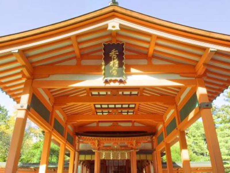 福冈香椎宫攻略 香椎宫门票价格多少钱 团购票价预定优惠 景点地址图片 携程攻略