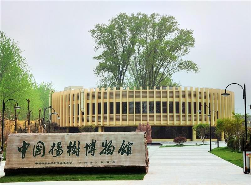 泗阳杨树博物馆的资料图片
