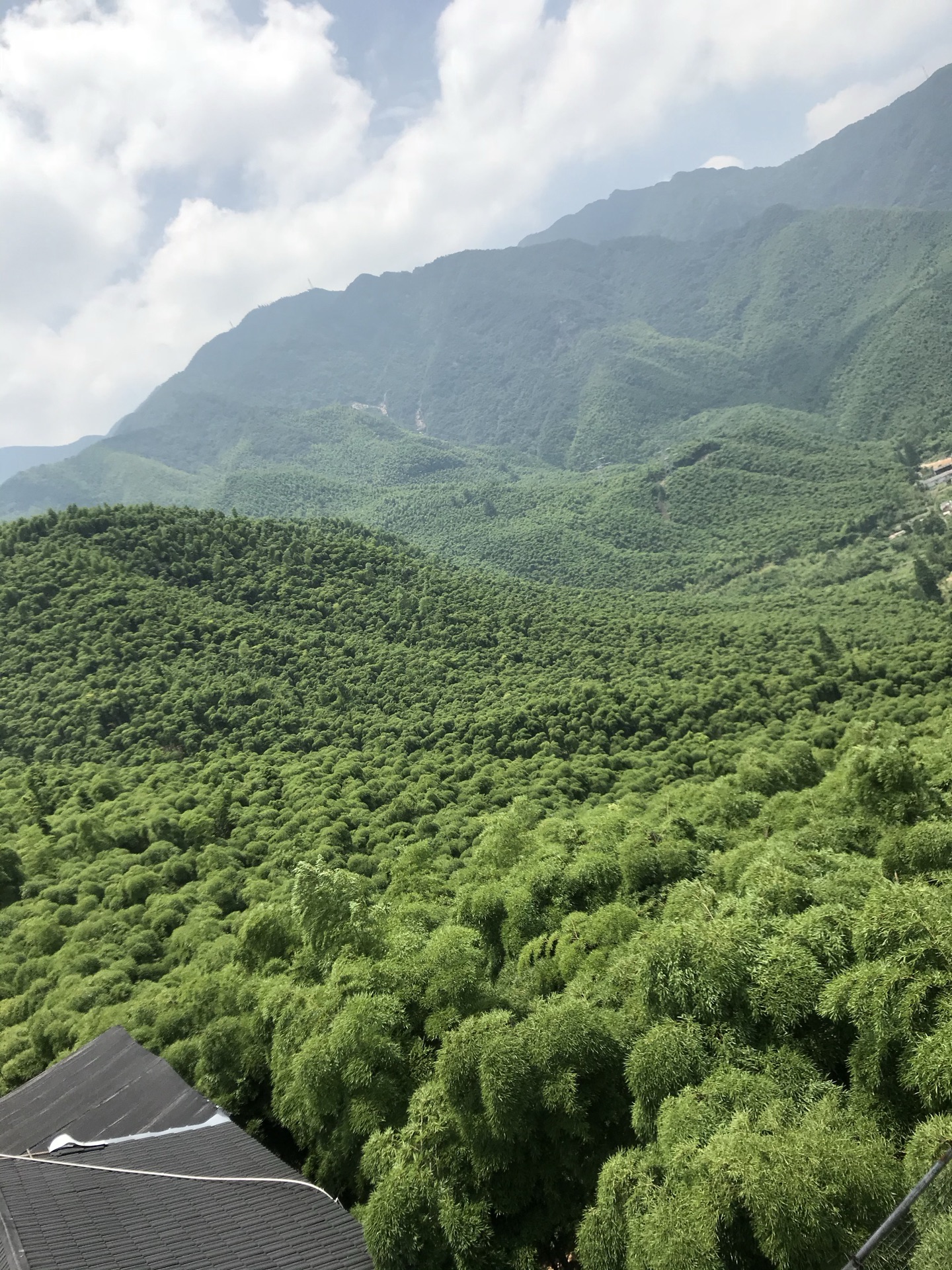 中國大竹海旅遊景點攻略圖