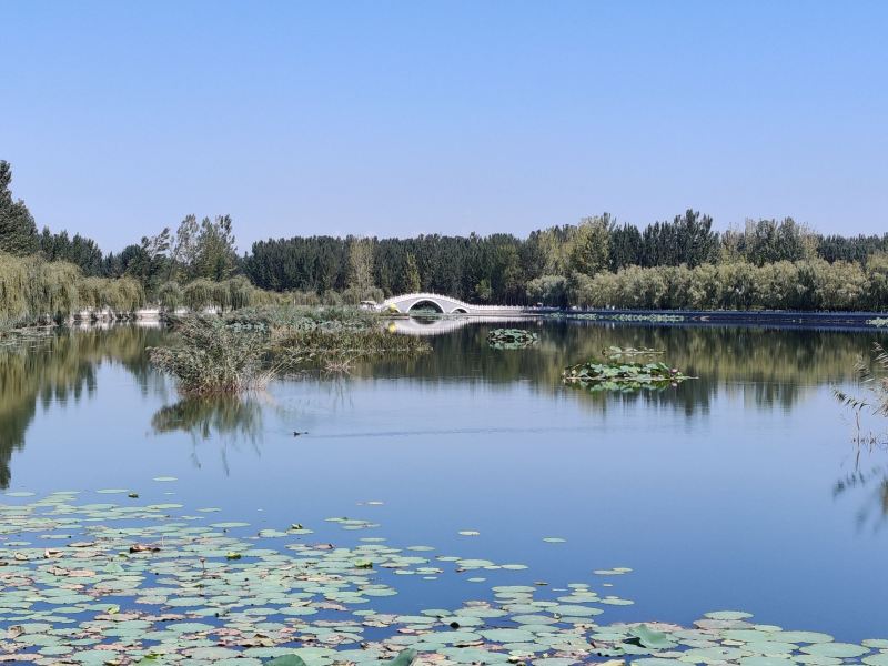 曲阳曲阳白家湾公园攻略-曲阳白家湾公园门票价格多少钱-团购票价预定