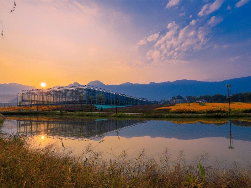 芦溪武功山花涧里攻略-武功山花涧里门票价格多少钱-团购票价预定优惠
