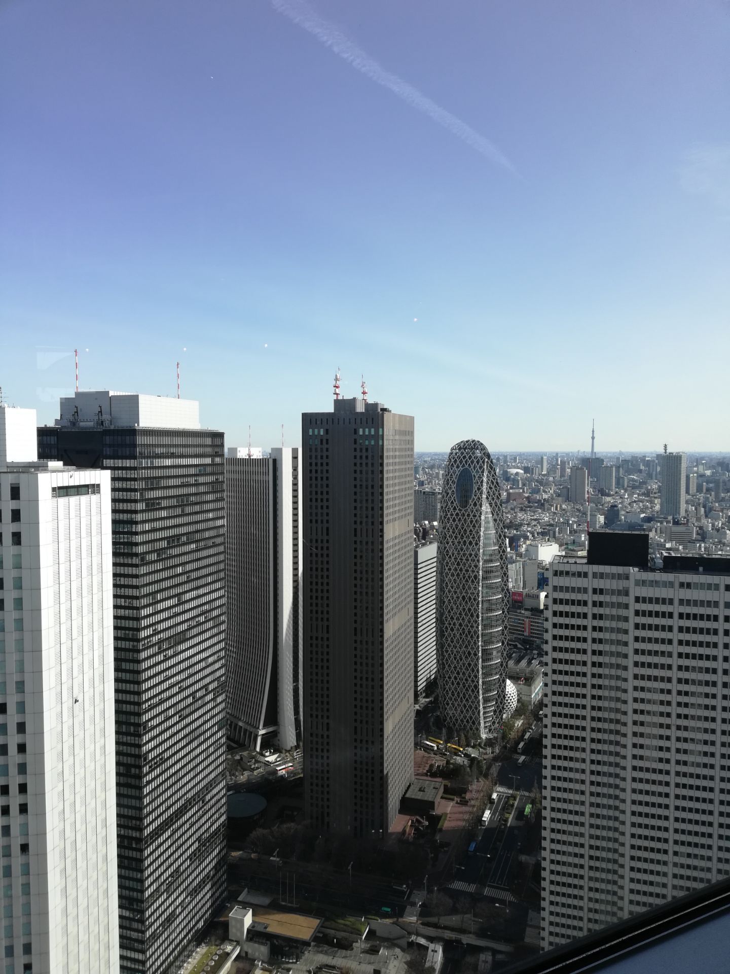 东京都厅展望台