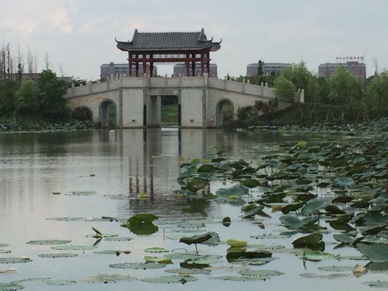 2023华阳湖湿地公园游玩攻略,虽然整个水乡游人很少，但是...【去哪儿攻略】