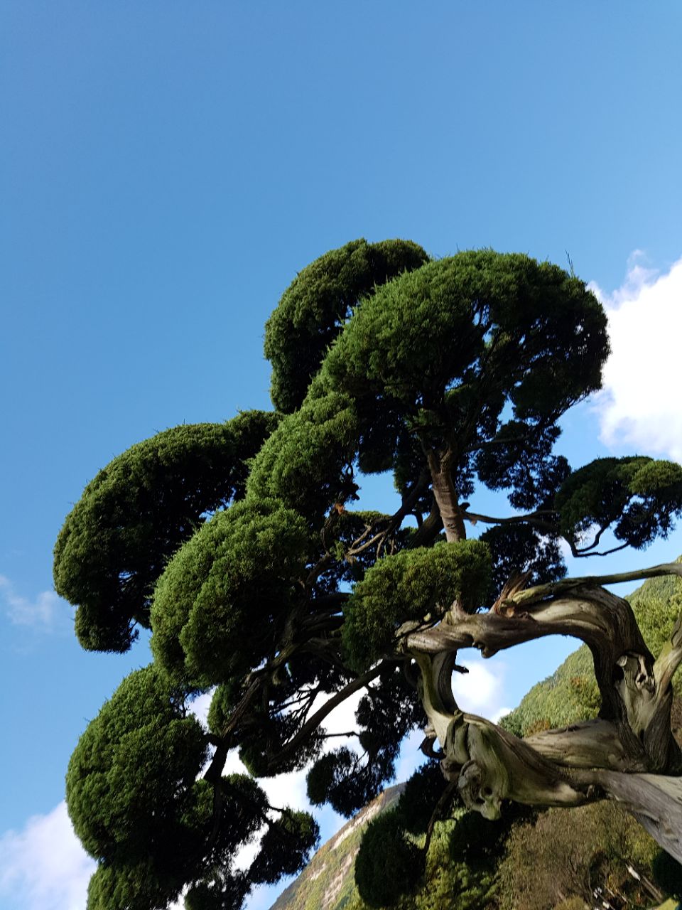 晨静园艺树木园