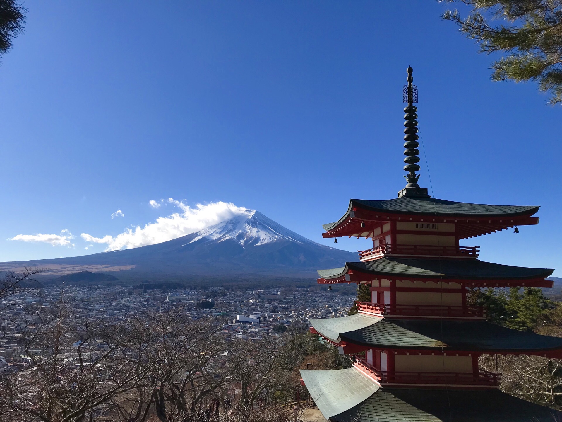 新仓山浅间公园